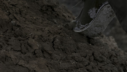 Similar image 22446199