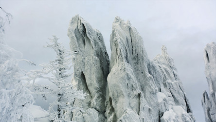 Similar image 22448548