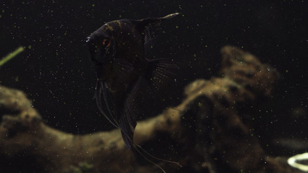 Similar image 22448554