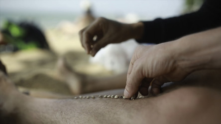 Similar image 22453351