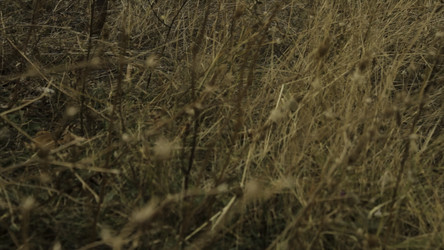 Similar image 22453381