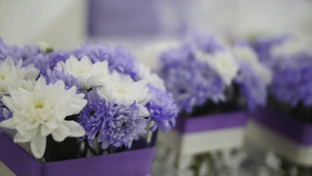 Similar image 22405291