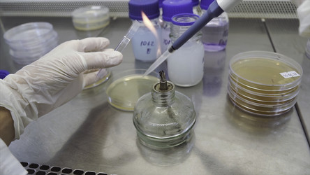 Similar image 22405306