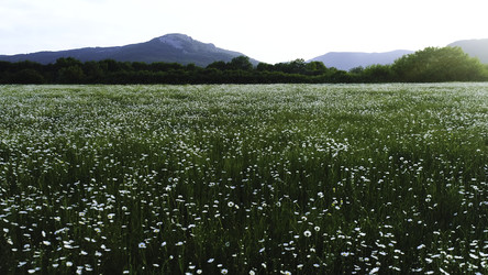 Similar image 22405546