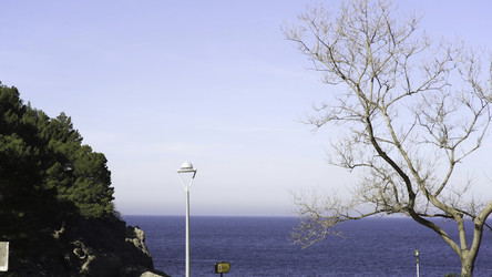 Similar image 22405591