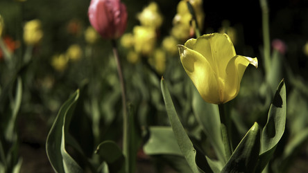 Similar image 22405636