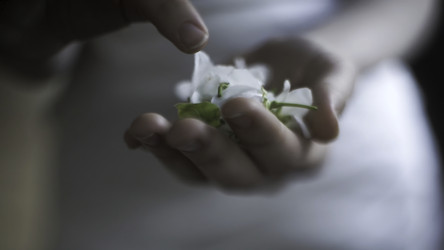 Similar image 22405860