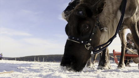 Similar image 22405950