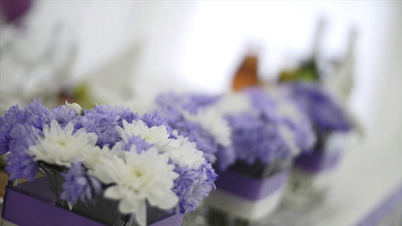 Similar image 22405995