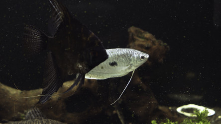 Similar image 22406070