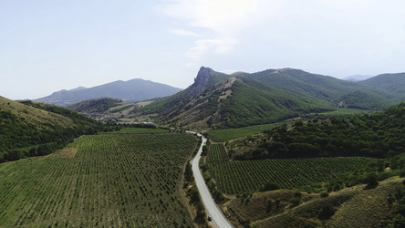 Similar image 22407137