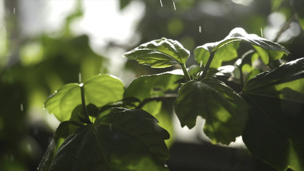 Similar image 22407241