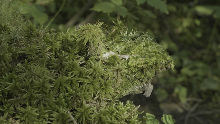 Similar image 22407481