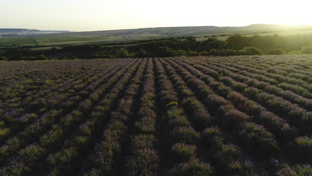 Similar image 22436104