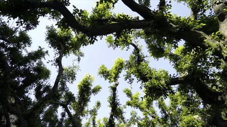 Similar image 22443562