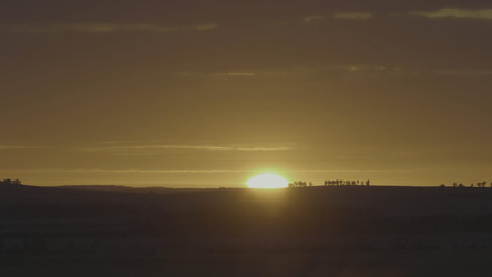 Similar image 22446209