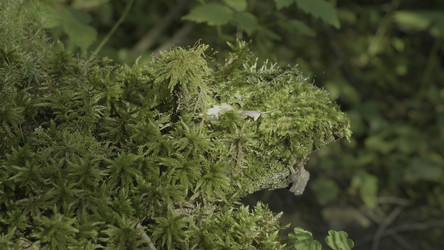 Similar image 22446210