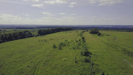 Similar image 22446214