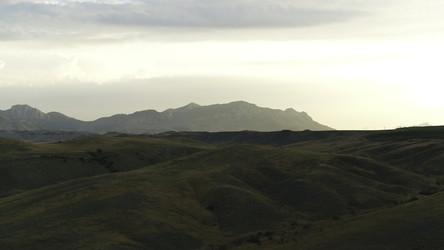 Similar image 22446219