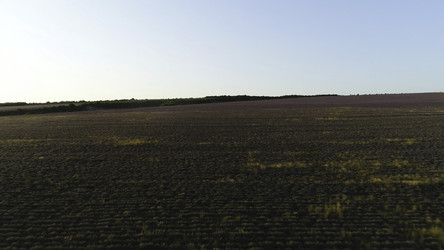 Similar image 22446221