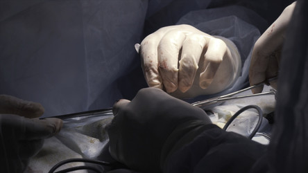 Similar image 22446225