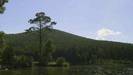 Similar image 22448562