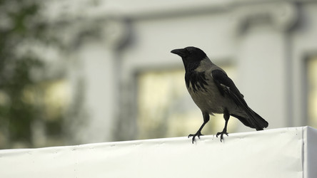 Similar image 22453292