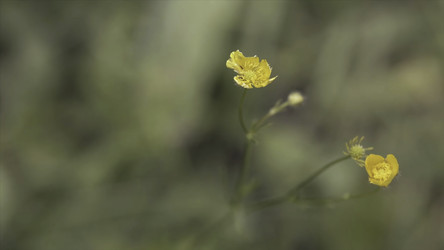 Similar image 22469907