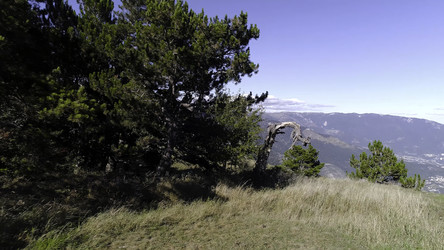 Similar image 22405114