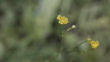 Similar image 22405353