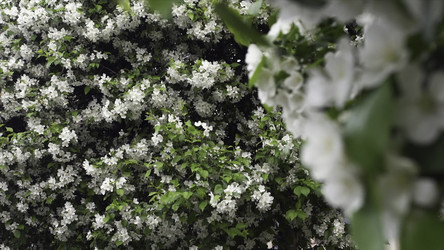 Similar image 22405384