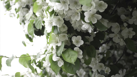 Similar image 22405607