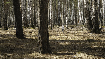 Similar image 22405652