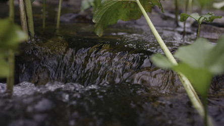 Similar image 22405742