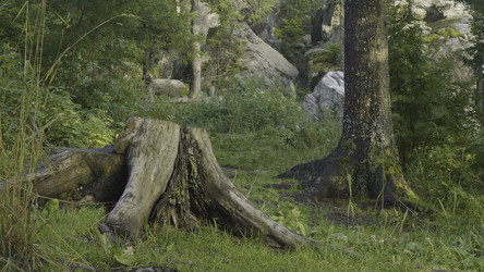 Similar image 22405757