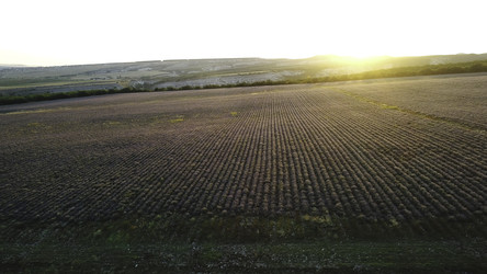 Similar image 22405891