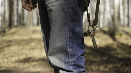 Similar image 22406221