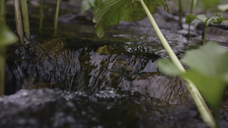 Similar image 22406356