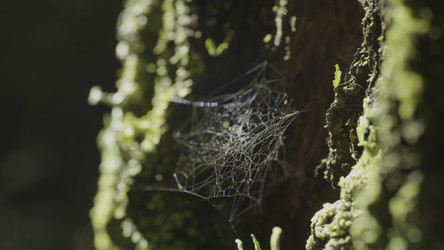 Similar image 22406371