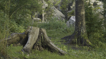 Similar image 22406401