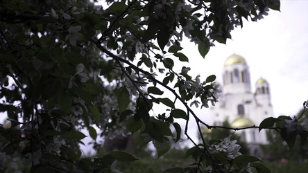 Similar image 22406611