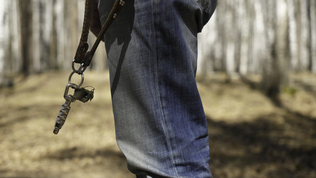 Similar image 22406731