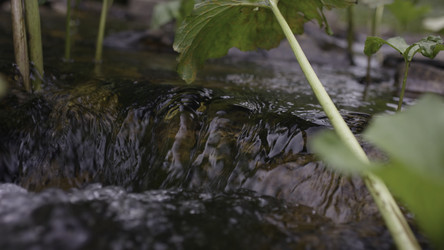 Similar image 22406806