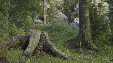 Similar image 22406837