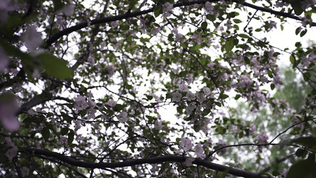 Similar image 22407106