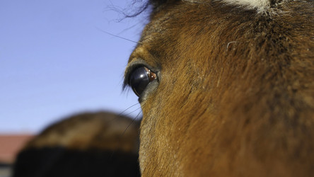 Similar image 22407332