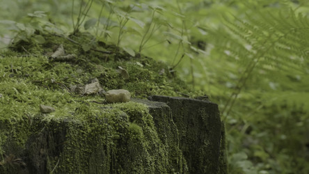 Similar image 22407362