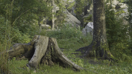 Similar image 22407377