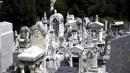 Similar image 22436108