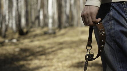 Similar image 22443576